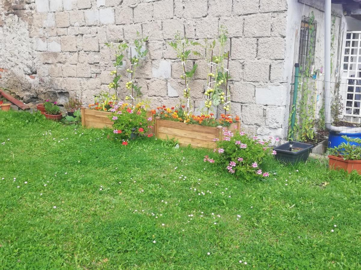 Apartman Petra Kovářská Εξωτερικό φωτογραφία
